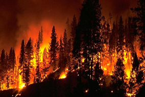 森林防火综合管理系统设计方案